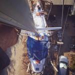 התמונה של יונתן